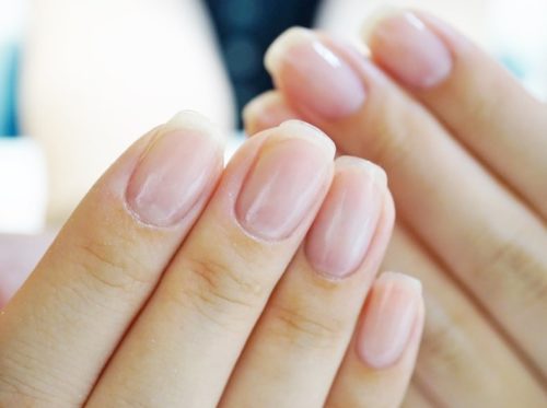 05-5　仕上がり　育成前・結果